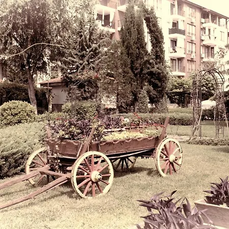 Apollon 7